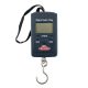 pocket_scale