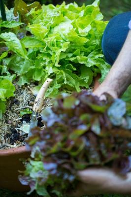 garden-05