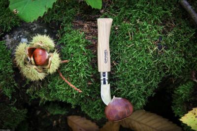 opinel-chestnut-21