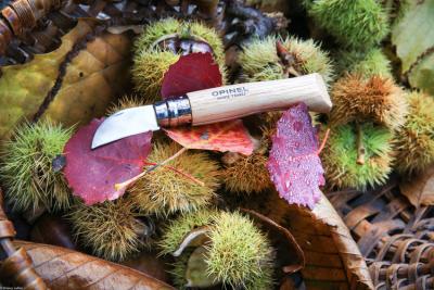 opinel-chestnut-52