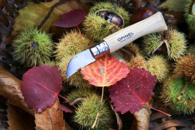 opinel-chestnut-62