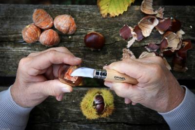 opinel-chestnut-82